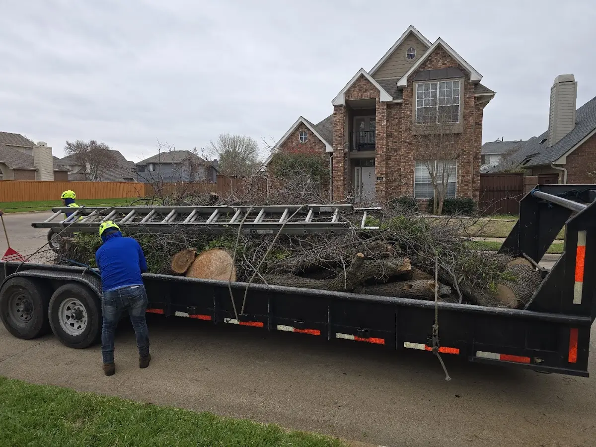 Expert Crown Reduction with proper safety equipment in Annona